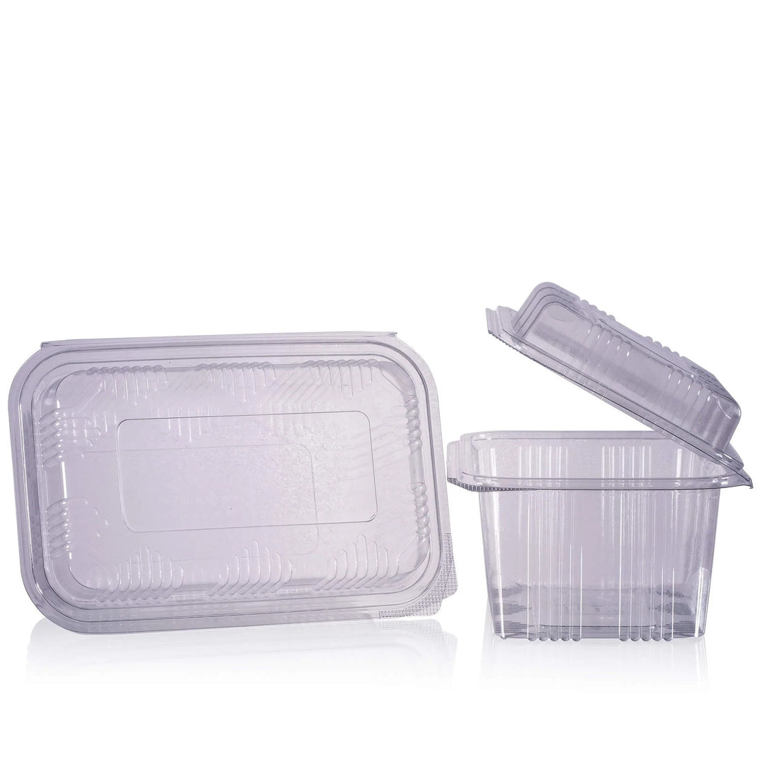 Two plastic containers; one on its side with the lid closed, and one with the lid open.