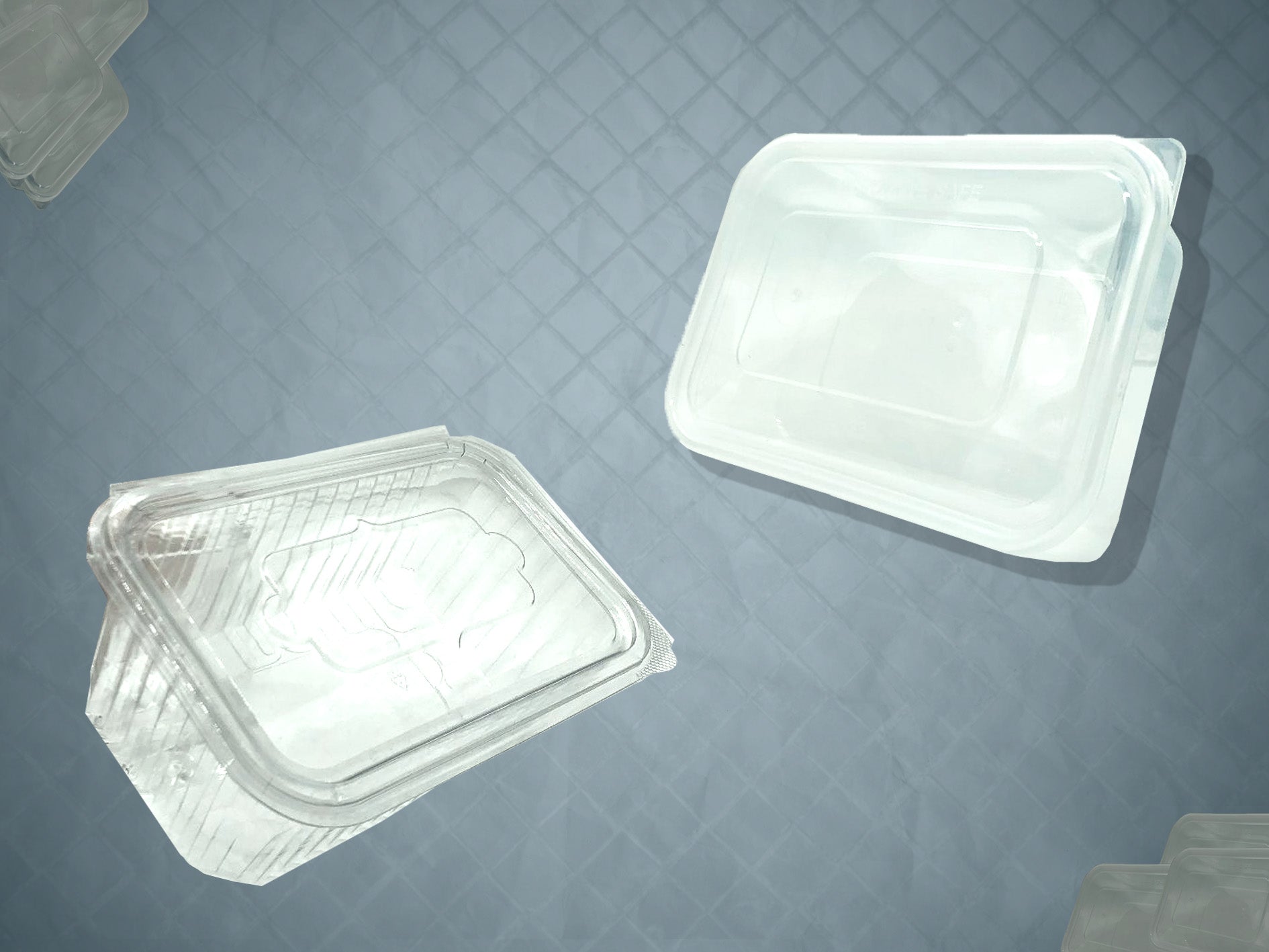 Plastic Food Container