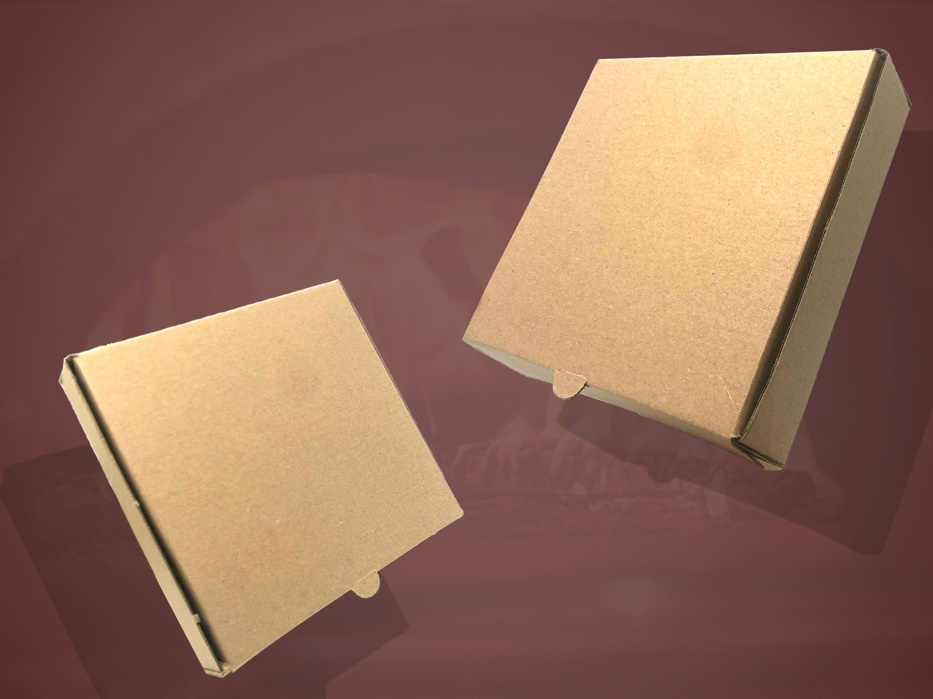 Takeaway Plain Brown Pizza Box