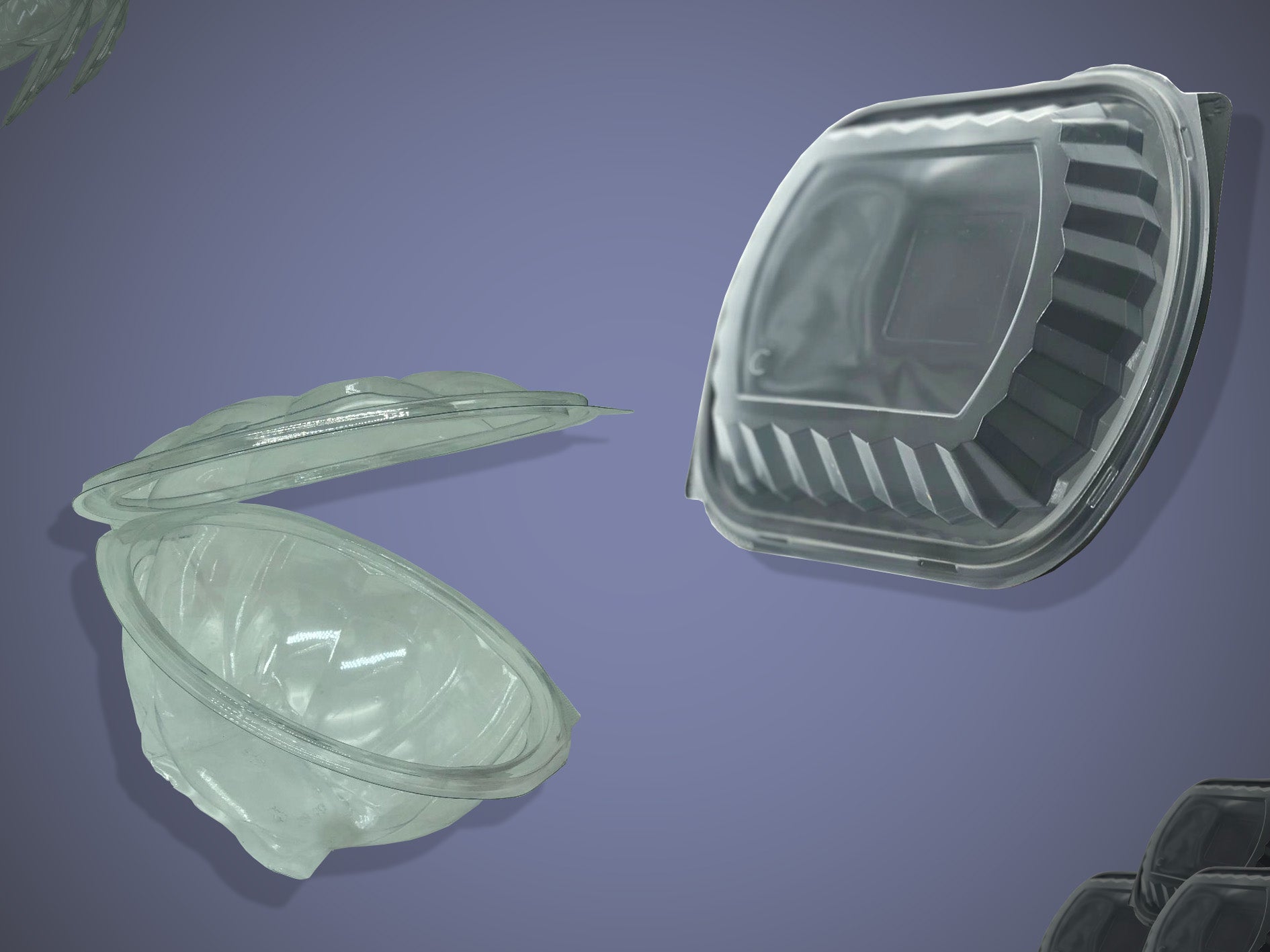 Food Containers (Hot + Cold + Microwave)
