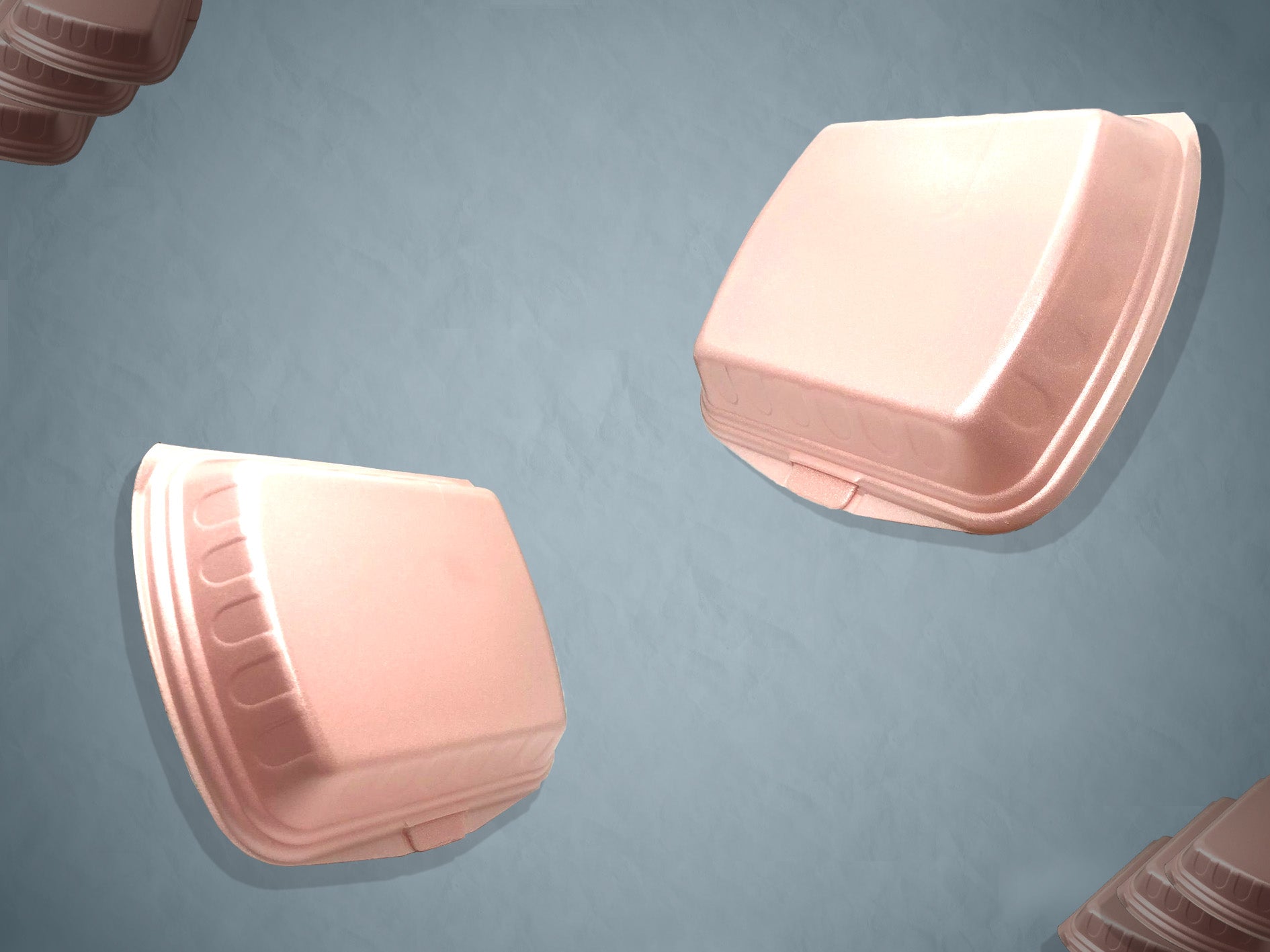 Polystyrene Food Boxes