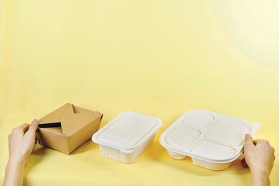 Non-Hinged vs Hinged Containers for Takeaway Foods