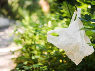 You Should Stop Using Plastic Bags For Takeaways. Here’s Why.