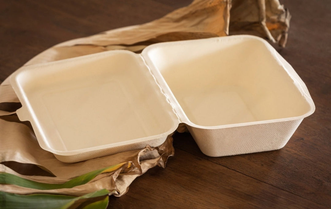 Bagasee Food Boxes