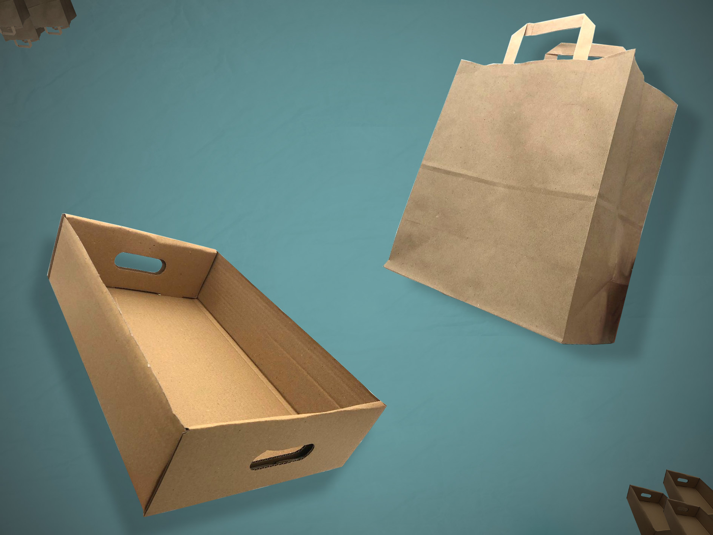 Takeaway Bags and Trays